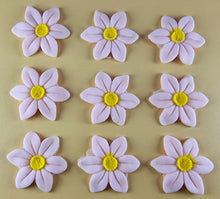 9 x Edible 3D 40mm Wild daffodil Flowers icing toppers, cake cupcakes T121