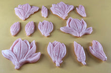 12 x Edible 3D 50mm Tulip Lilly flowers Set, icing toppers, cake cupcakes decorations T076