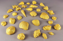 30 x Edible 3D seashells shells shells icing toppers, cake cupcakes decorations T007