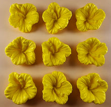 9 x Edible 3D 38mm Hibiscus flower flowers, icing toppers, cake cupcakes decorations T035
