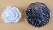 20 x Edible 3D 20mm flower flowers icing toppers, cake cupcakes decorations T029