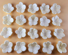 20 x Edible 3D 25mm Cherry Blossoms Flowers, icing toppers, cake cupcakes decorations T069