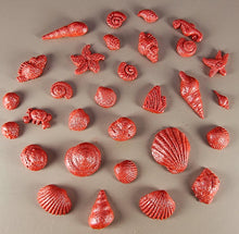 30 x Edible 3D seashells shells shells icing toppers, cake cupcakes decorations T007