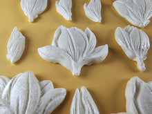 12 x Edible 3D 50mm Tulip Lilly flowers Set, icing toppers, cake cupcakes decorations T076