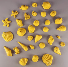 30 x Edible 3D seashells shells shells icing toppers, cake cupcakes decorations T007