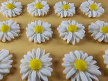 12 x Edible 3D 20mm Daisies Daisy flowers icing toppers, cake cupcakes T115