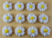 12 x Edible 3D 20mm Daisies Daisy flowers icing toppers, cake cupcakes T115