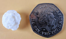 30 x Edible 3D 1.2mm high detail rose roses flowers icing toppers, cake cupcakes decorations T004