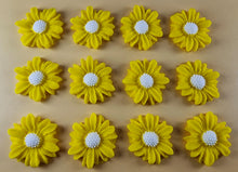 12 x Edible 3D 30mm Daisies Daisy flowers icing toppers, cake cupcakes T117