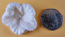 9 x Edible 3D 38mm Hibiscus flower flowers, icing toppers, cake cupcakes decorations T035