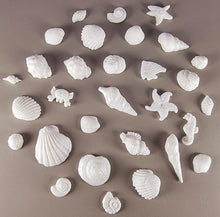 30 x Edible 3D seashells shells shells icing toppers, cake cupcakes decorations T007