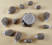 13 Piece Edible 3D Hedgehog Set, icing, cupcake toppers T143