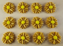 12 x Edible 3D 20mm Daisies Daisy flowers icing toppers, cake cupcakes T115