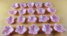 20 x Edible 3D 25mm Cherry Blossoms Flowers, icing toppers, cake cupcakes decorations T069