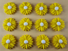 12 x Edible 3D 20mm Daisies Daisy flowers icing toppers, cake cupcakes T115