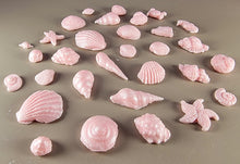30 x Edible 3D seashells shells shells icing toppers, cake cupcakes decorations T007