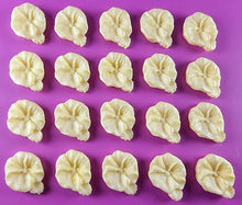 20 x Edible 3D 18mm flower flowers icing toppers, cake cupcakes decorations T033