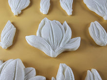12 x Edible 3D 50mm Tulip Lilly flowers Set, icing toppers, cake cupcakes decorations T076