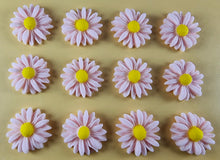 12 x Edible 3D 20mm Daisies Daisy flowers icing toppers, cake cupcakes T115