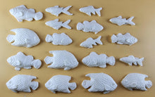 18 x Edible 3D 40mm Fish Set, icing toppers, cake cupcakes decorations T073