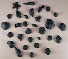 30 x Edible 3D seashells shells shells icing toppers, cake cupcakes decorations T007