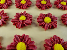 12 x Edible 3D 30mm Daisies Daisy flowers icing toppers, cake cupcakes T117