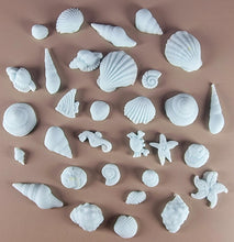 30 x Edible 3D seashells shells shells icing toppers, cake cupcakes decorations T007