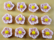 12 x Edible 3D 20mm flowers icing toppers, cake cupcakes decorations T105