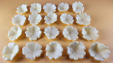 20 x Edible 3D 30mm Primula Primrose Flowers, icing toppers, cake cupcakes decorations T068