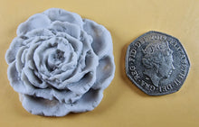 9 x Edible 3D 40mm Rose Flowers icing toppers, cake cupcakes T130