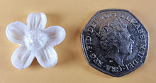 20 x Edible 3D 22mm flower flowers icing toppers, cake cupcakes decorations T026