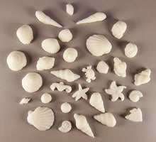 30 x Edible 3D seashells shells shells icing toppers, cake cupcakes decorations T007