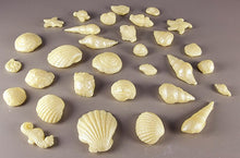 30 x Edible 3D seashells shells shells icing toppers, cake cupcakes decorations T007