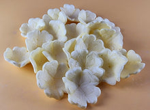 20 x Edible 3D 30mm Primula Primrose Flowers, icing toppers, cake cupcakes decorations T068