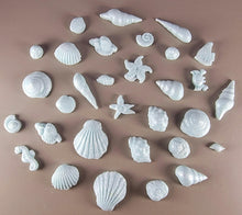 30 x Edible 3D seashells shells shells icing toppers, cake cupcakes decorations T007