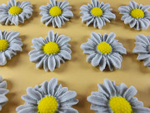 12 x Edible 3D 30mm Daisies Daisy flowers icing toppers, cake cupcakes T117