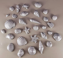 30 x Edible 3D seashells shells shells icing toppers, cake cupcakes decorations T007