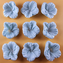 9 x Edible 3D 38mm Hibiscus flower flowers, icing toppers, cake cupcakes decorations T035
