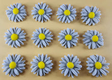 12 x Edible 3D 20mm Daisies Daisy flowers icing toppers, cake cupcakes T115