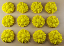 12 x Edible 3D 35mm Daisies, Daisy Flowers, icing toppers, cake cupcakes decorations T081