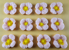 12 x Edible 3D 20mm flowers icing toppers, cake cupcakes decorations T106