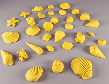 30 x Edible 3D seashells shells shells icing toppers, cake cupcakes decorations T007