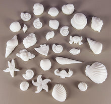 30 x Edible 3D seashells shells shells icing toppers, cake cupcakes decorations T007