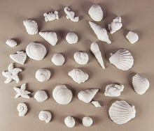 30 x Edible 3D seashells shells shells icing toppers, cake cupcakes decorations T007