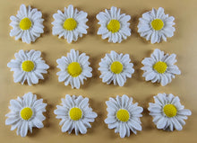 12 x Edible 3D 30mm Daisies Daisy flowers icing toppers, cake cupcakes T117