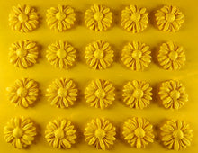 20 x Edible 3D 20mm daisies daisy flowers icing toppers, cake cupcakes decorations T016