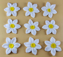 9 x Edible 3D 40mm Wild daffodil Flowers icing toppers, cake cupcakes T121