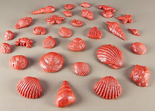 30 x Edible 3D seashells shells shells icing toppers, cake cupcakes decorations T007