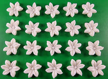 20 x Edible 3D 20mm flower flowers icing toppers, cake cupcakes decorations T034