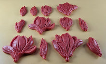 12 x Edible 3D 50mm Tulip Lilly flowers Set, icing toppers, cake cupcakes decorations T076